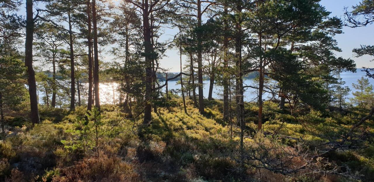 Rolfskaerrs Stugby Hotel Nygård Eksteriør billede