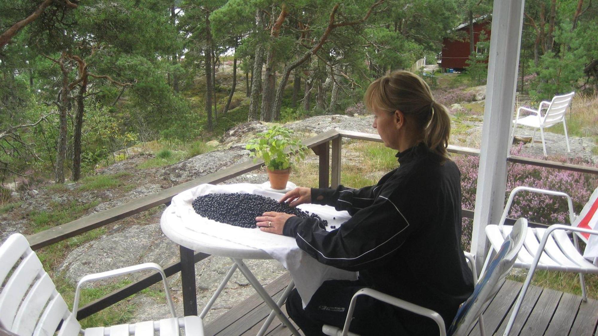 Rolfskaerrs Stugby Hotel Nygård Eksteriør billede